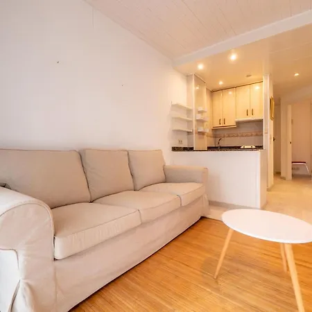 Homeholidaysrentals Brizna Apartment